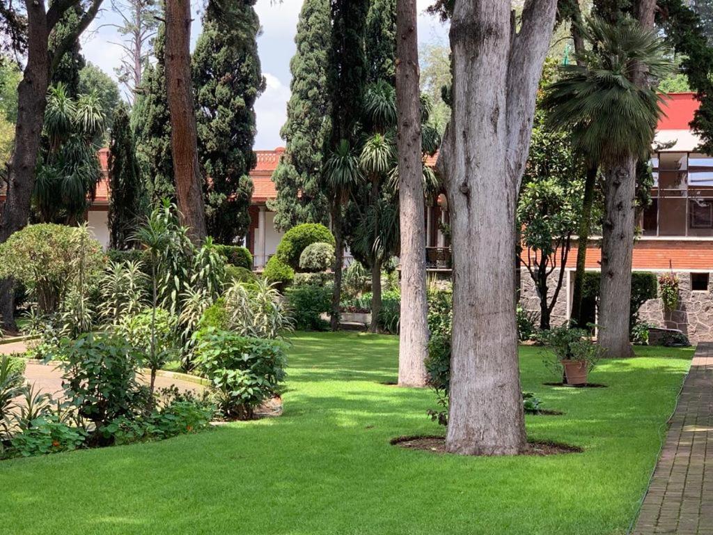Hotel Express Quinta Soledad Kota Meksiko Bagian luar foto