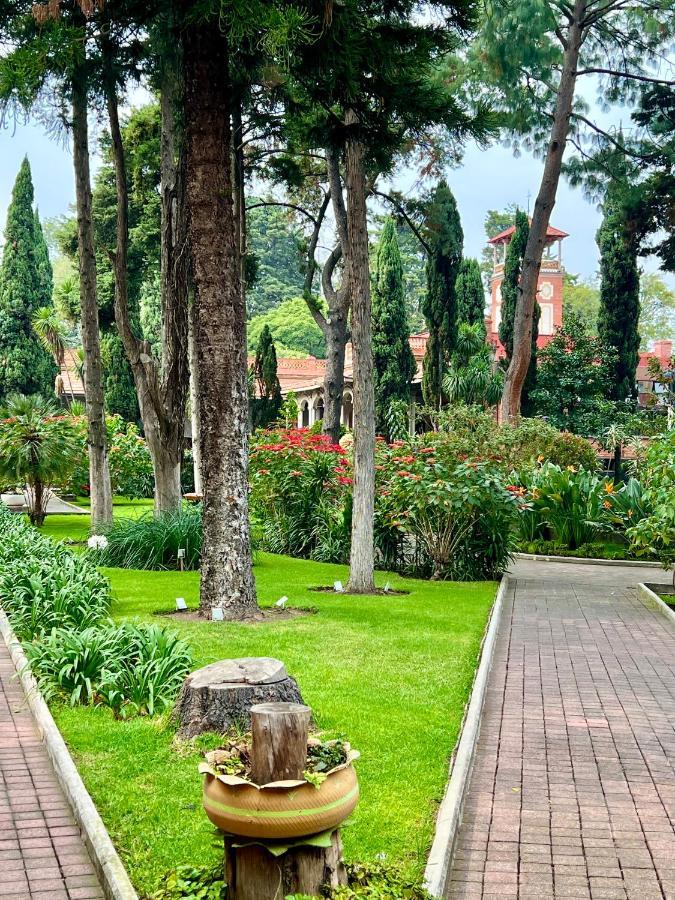 Hotel Express Quinta Soledad Kota Meksiko Bagian luar foto
