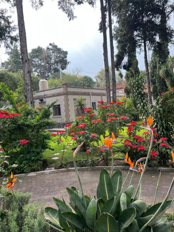 Hotel Express Quinta Soledad Kota Meksiko Bagian luar foto
